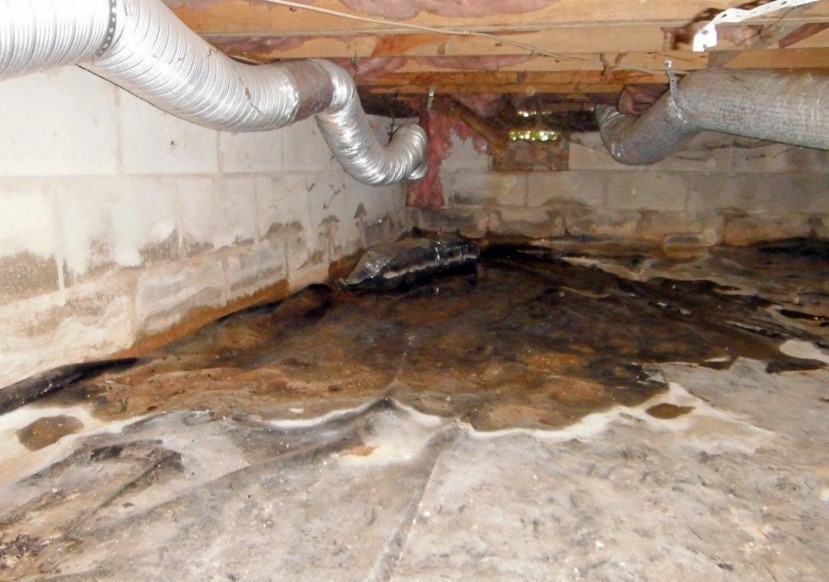 Water Restoration Techniques to Get Rid of Moisture in Walls, Floors, and Crawl Spaces