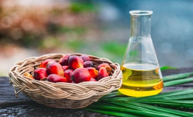 Palm Oil: Uses And Popularity