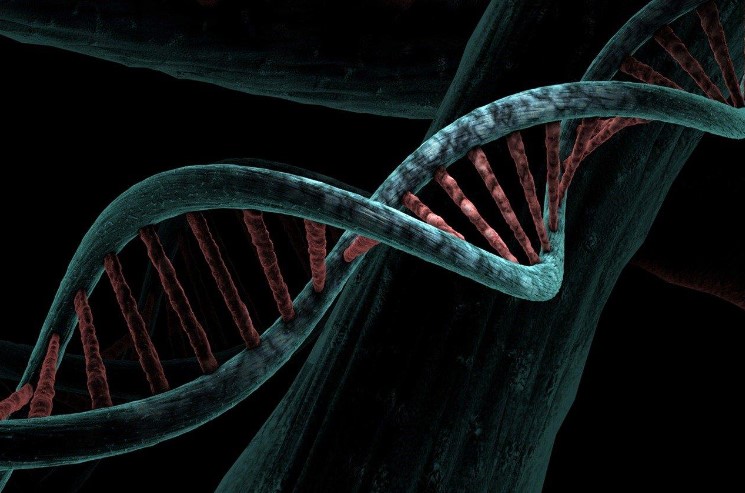 The many uses of DNA